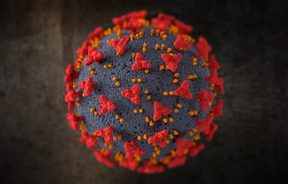 Breakthroughs in Immunotherapy: CAR T-Cell Therapy for Solid Tumors