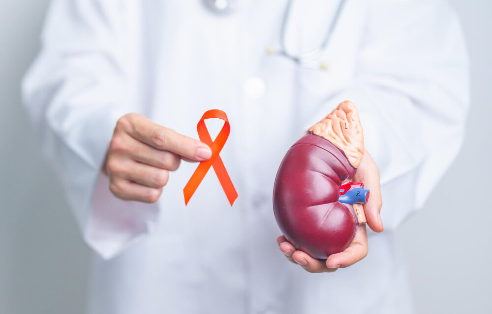 Are New Immune-Based Treatments Coming for Kidney and Pancreatic Cancer